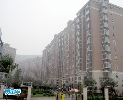 山东新佳内墙漆