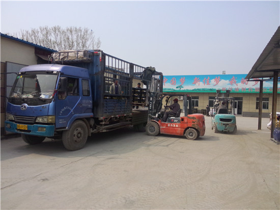 山东新佳真石漆