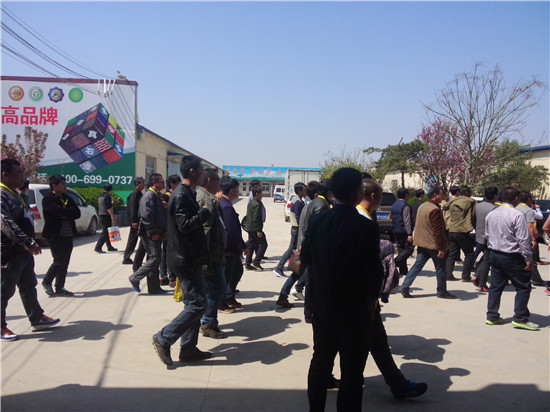 山东新佳真石漆