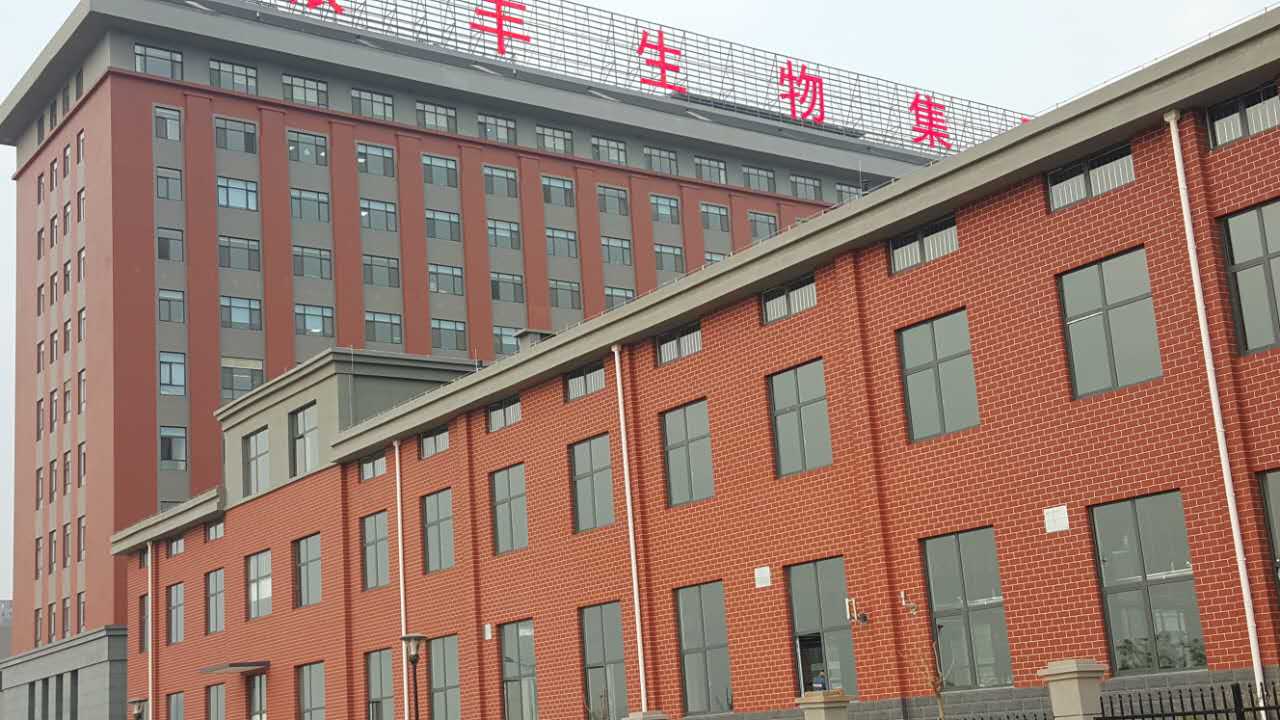 新佳真石漆,真石漆厂家