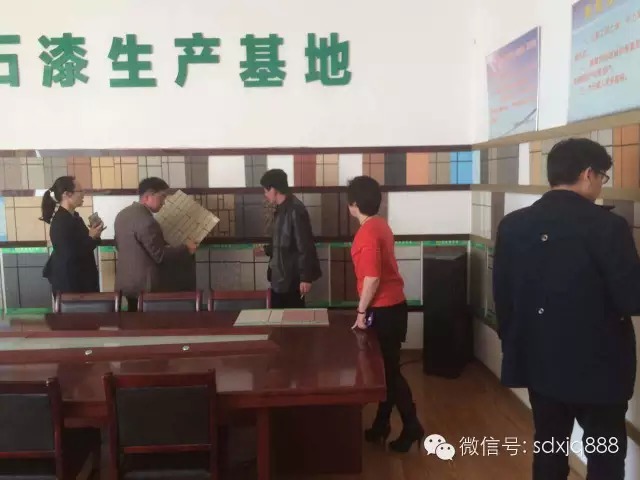 新佳真石漆考察团