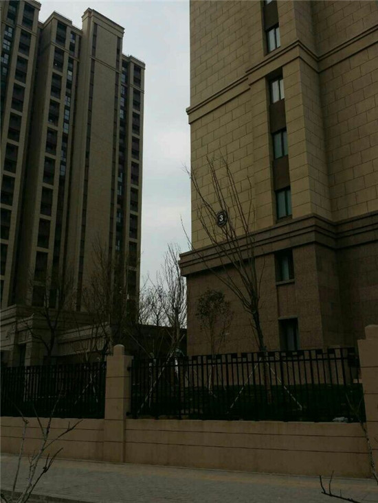 山东新佳真石漆